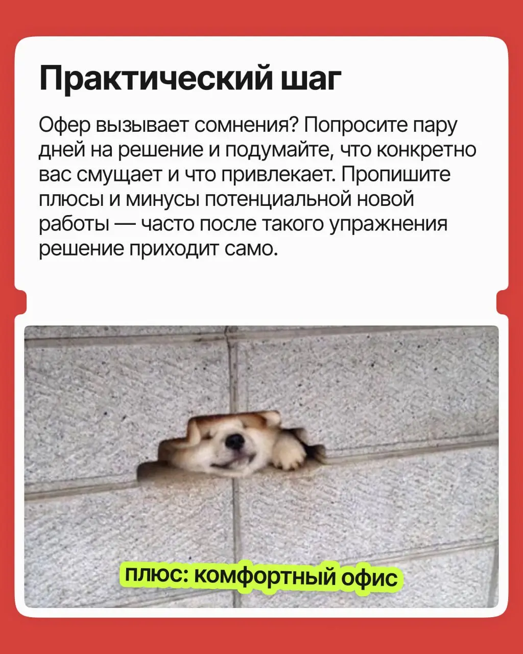 Согласиться на меньшее или ждать своё? | Сетка — социальная сеть от hh.ru