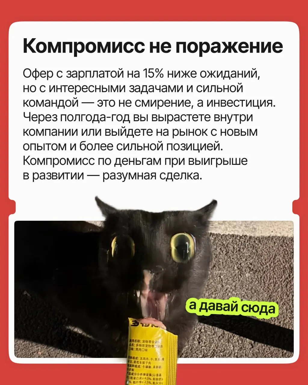 Согласиться на меньшее или ждать своё? | Сетка — социальная сеть от hh.ru