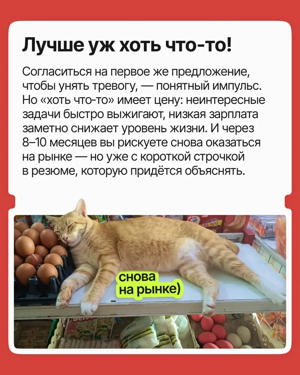 Согласиться на меньшее или ждать своё? | Сетка — социальная сеть от hh.ru