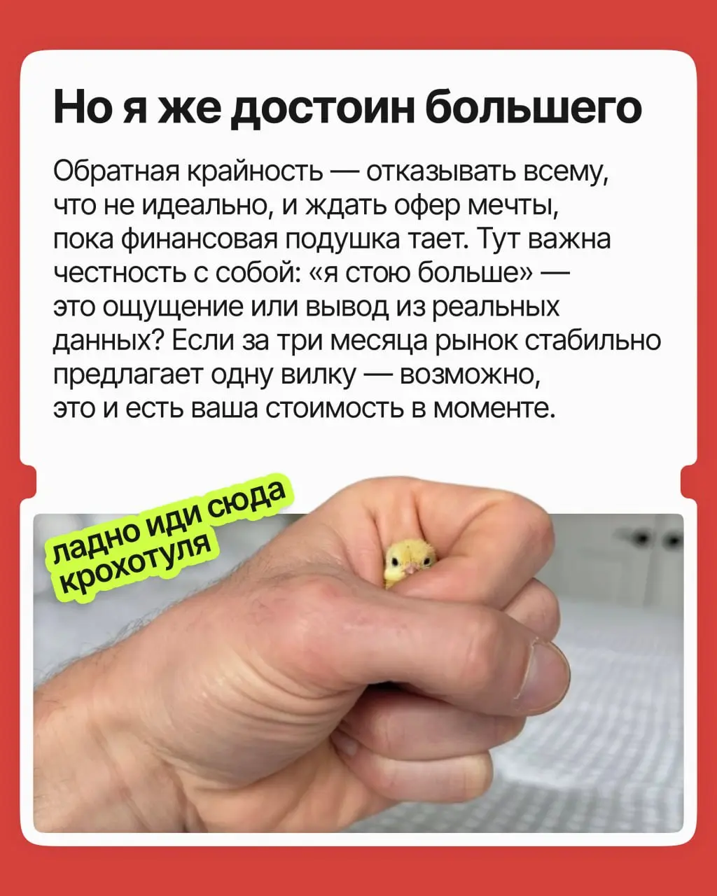 Согласиться на меньшее или ждать своё? | Сетка — социальная сеть от hh.ru