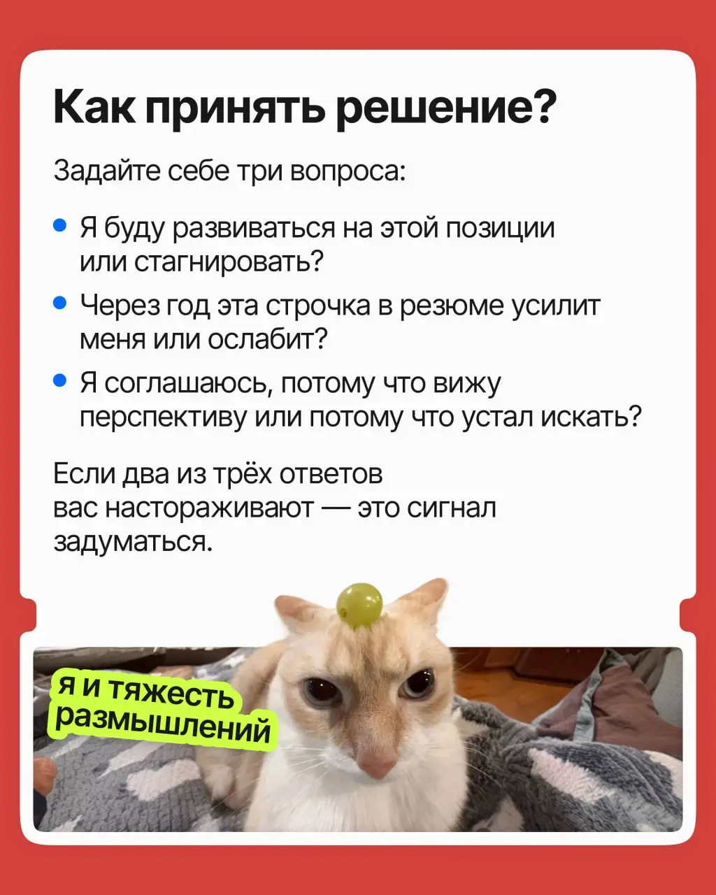 Согласиться на меньшее или ждать своё? | Сетка — социальная сеть от hh.ru