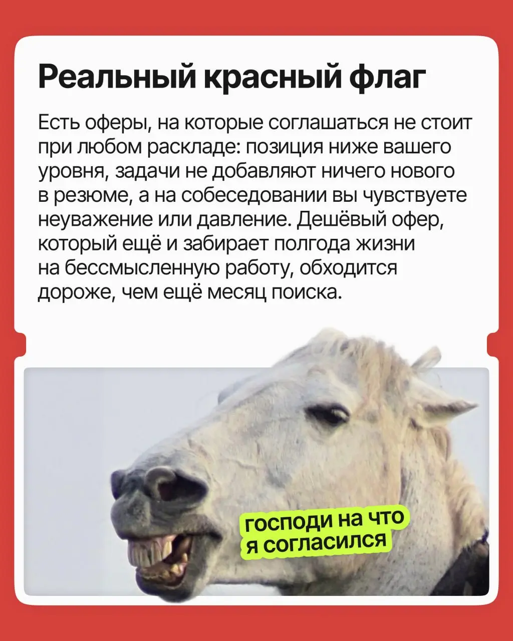 Согласиться на меньшее или ждать своё? | Сетка — социальная сеть от hh.ru