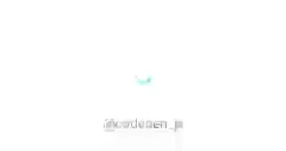 Multicolor Loader Ring — разноцветный прелоадер. Реализована с помощью CSS и JS
https://codepen.io/hexagoncircle/pen/pMNVXO | Сетка — социальная сеть от hh.ru
