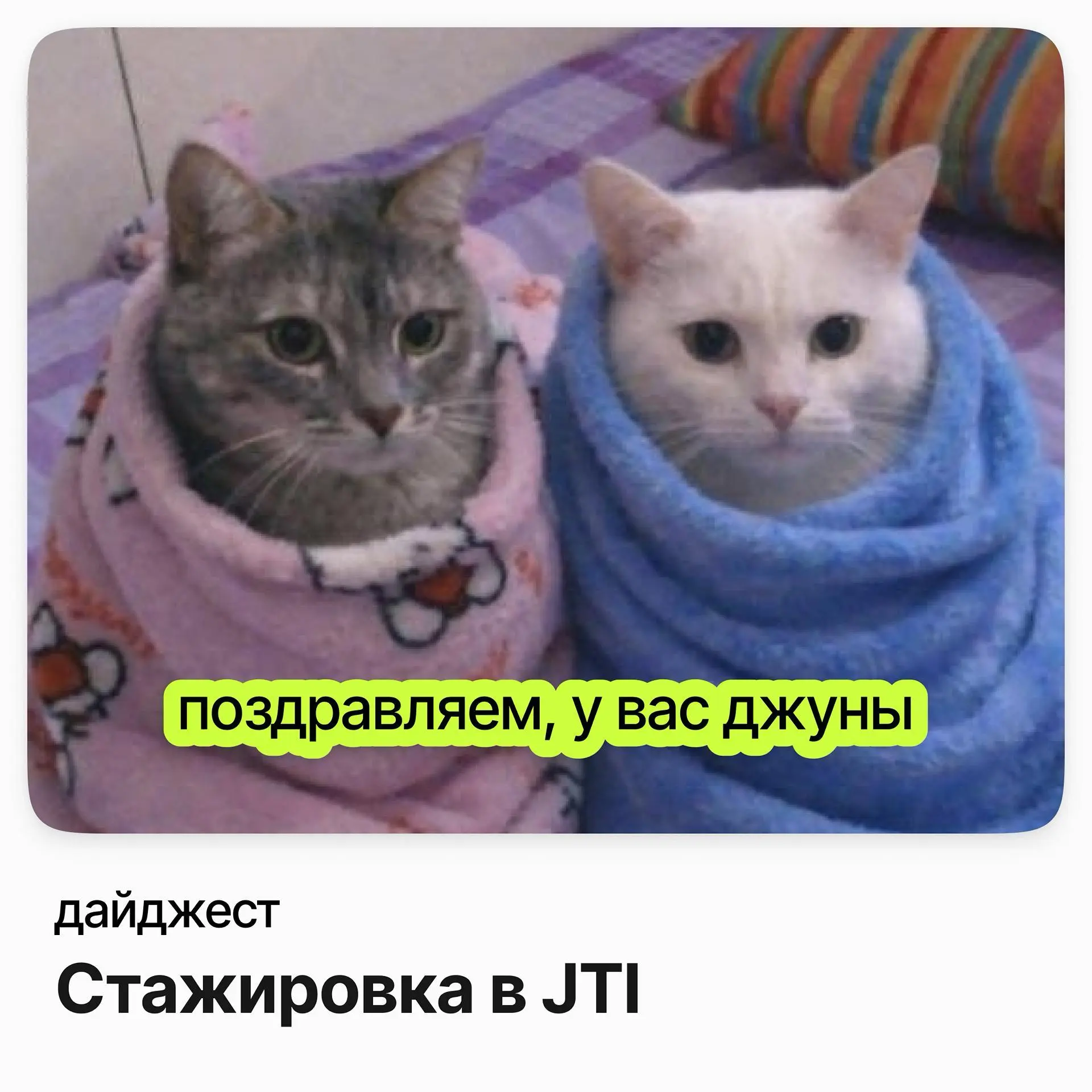 Стажировки в JTI | Сетка — социальная сеть от hh.ru