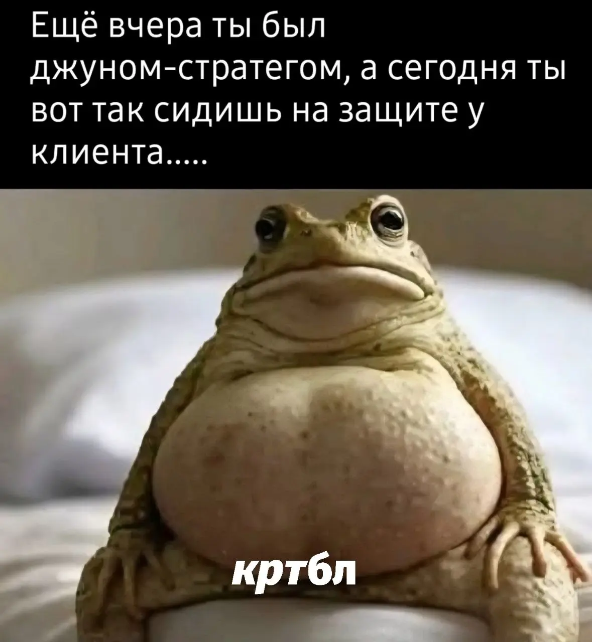 #правдабл? | Сетка — социальная сеть от hh.ru