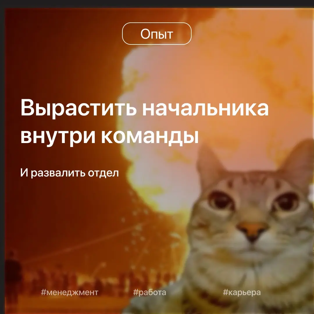 Вырастить начальника внутри команды и развалить отдел | Сетка — социальная сеть от hh.ru