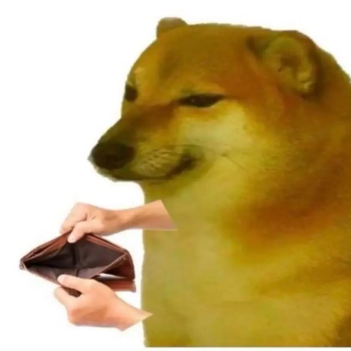 Стеша Плэй | Сетка — социальная сеть от hh.ru