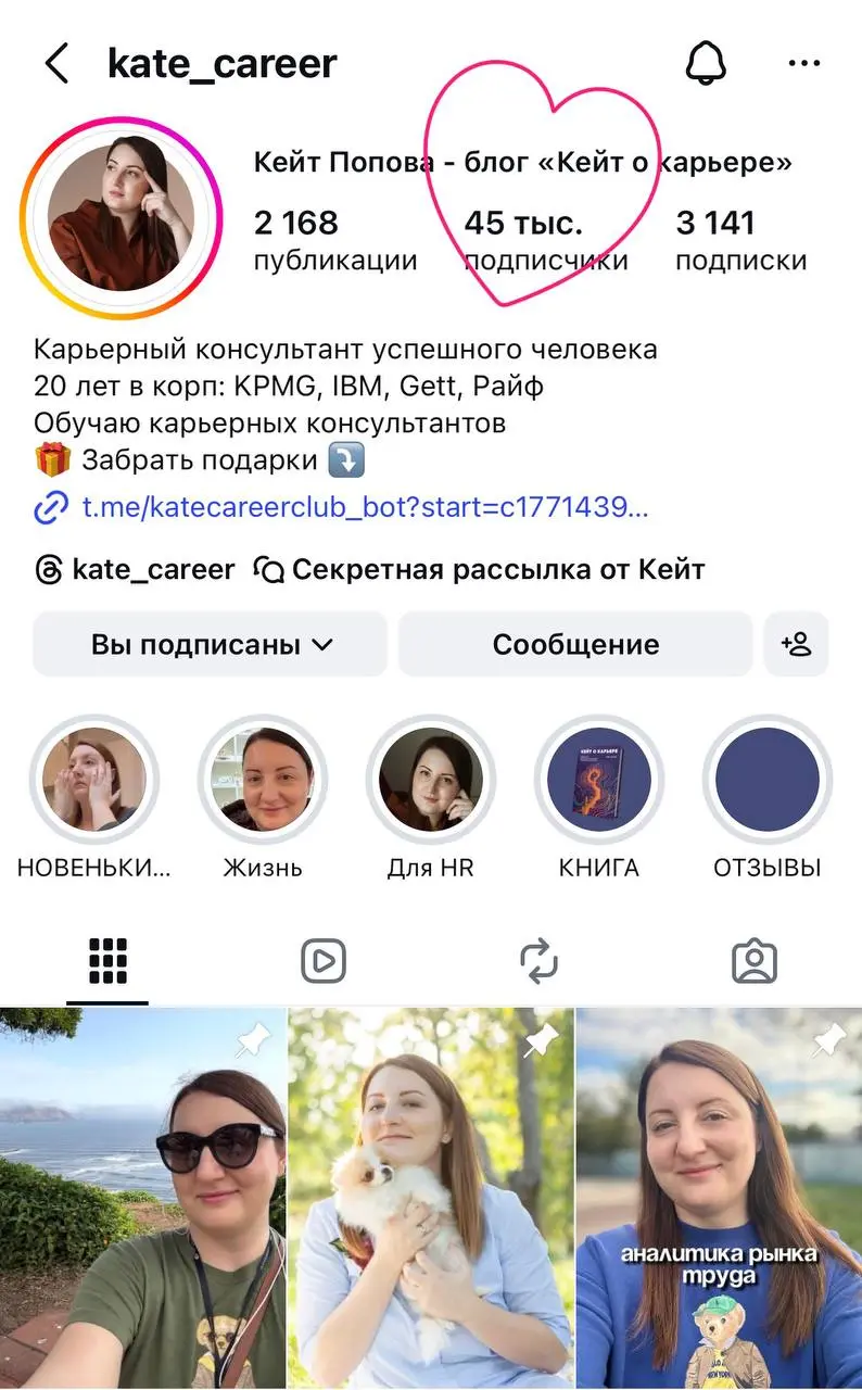 Радуюсь новым подписчикам и кто-то из них уже даже перешел в тг! Привет ❤️ | Сетка — социальная сеть от hh.ru