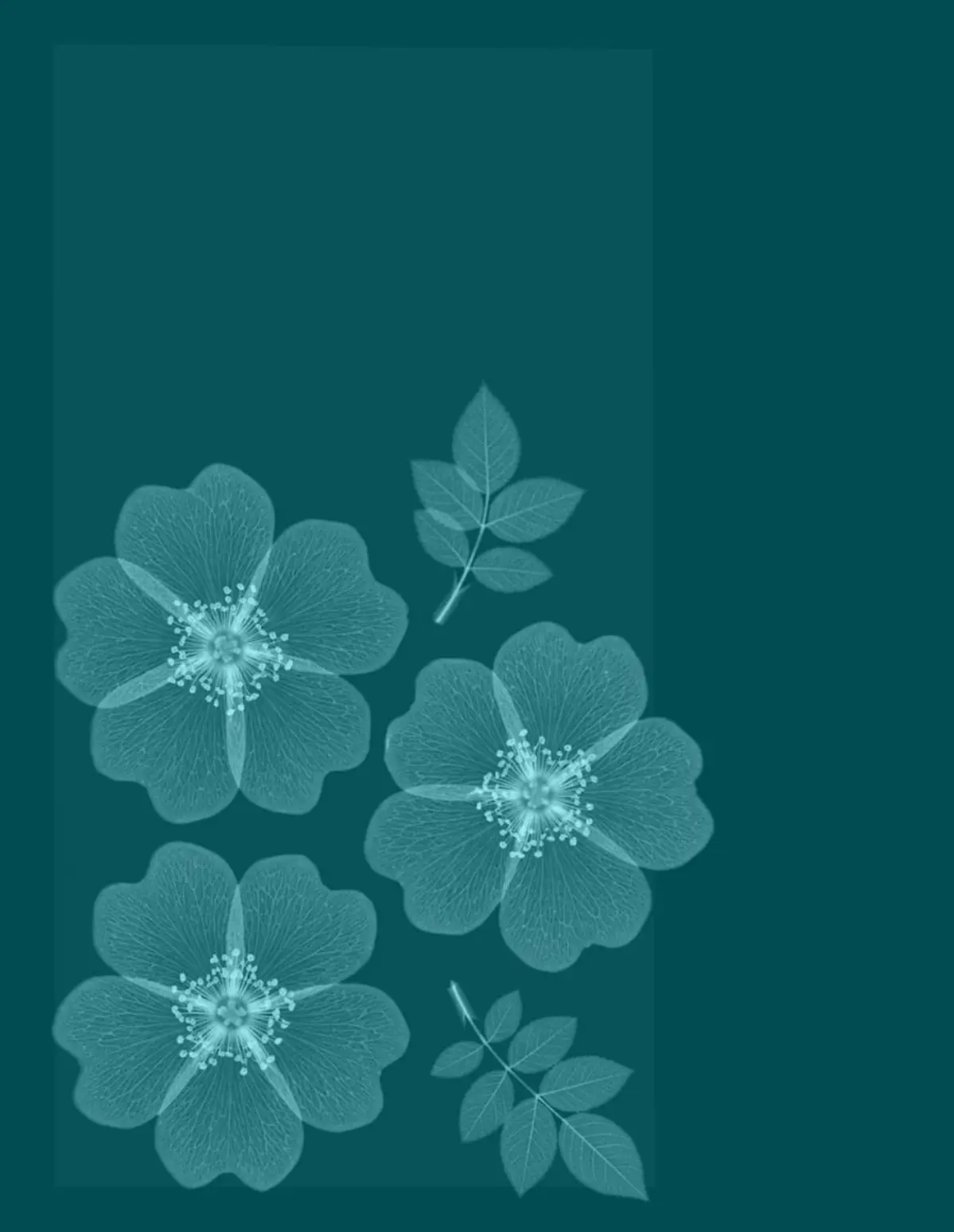 Делаю новую обложку для книги о медицинских аспектах парфюмерии.
Срисовала с медицинской иллюстрации скелетик, придав ему игривую позу | Сетка — социальная сеть от hh.ru