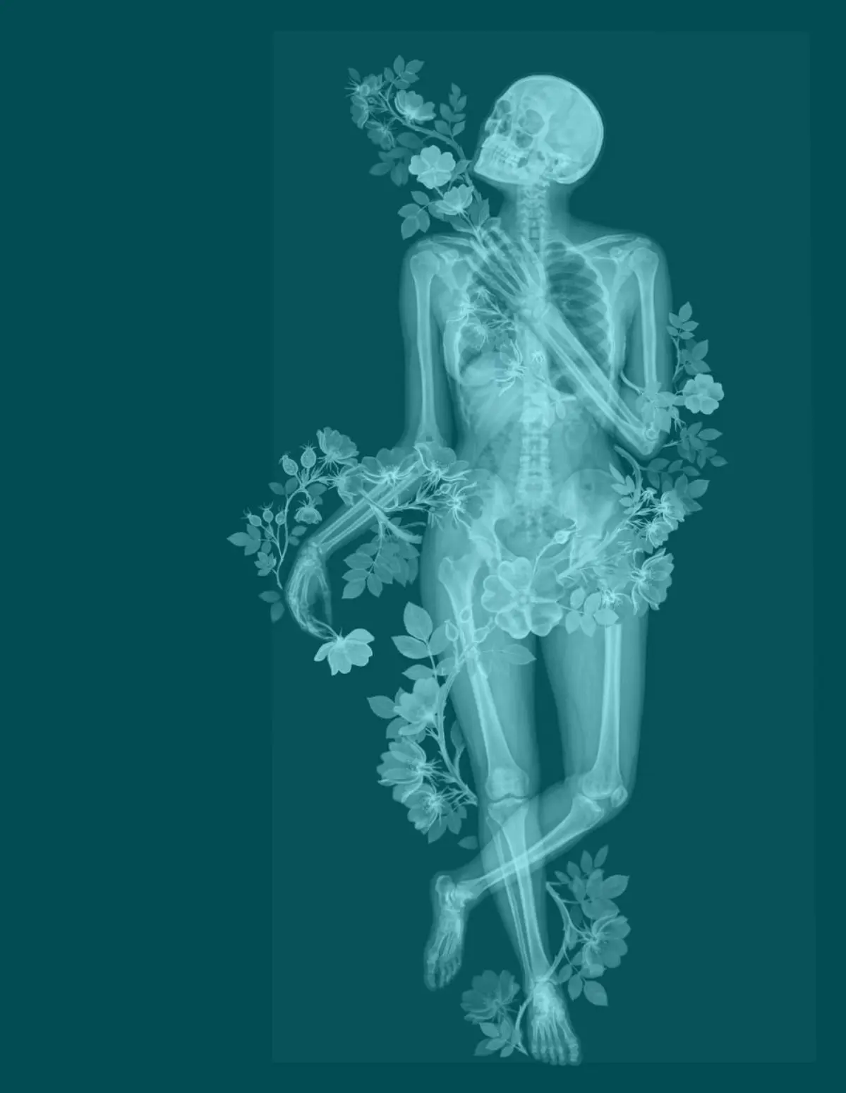 Делаю новую обложку для книги о медицинских аспектах парфюмерии.
Срисовала с медицинской иллюстрации скелетик, придав ему игривую позу | Сетка — социальная сеть от hh.ru