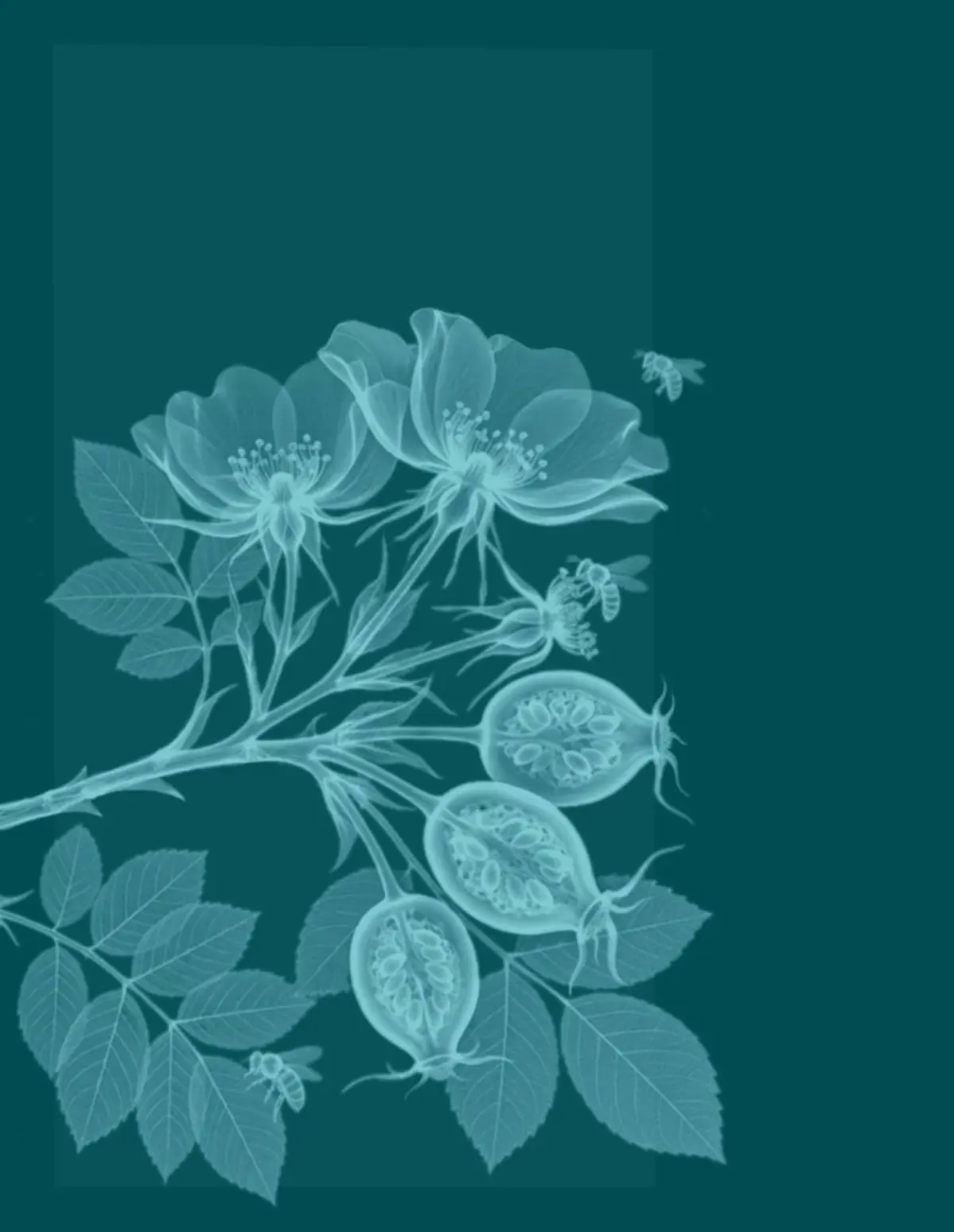 Делаю новую обложку для книги о медицинских аспектах парфюмерии.
Срисовала с медицинской иллюстрации скелетик, придав ему игривую позу | Сетка — социальная сеть от hh.ru