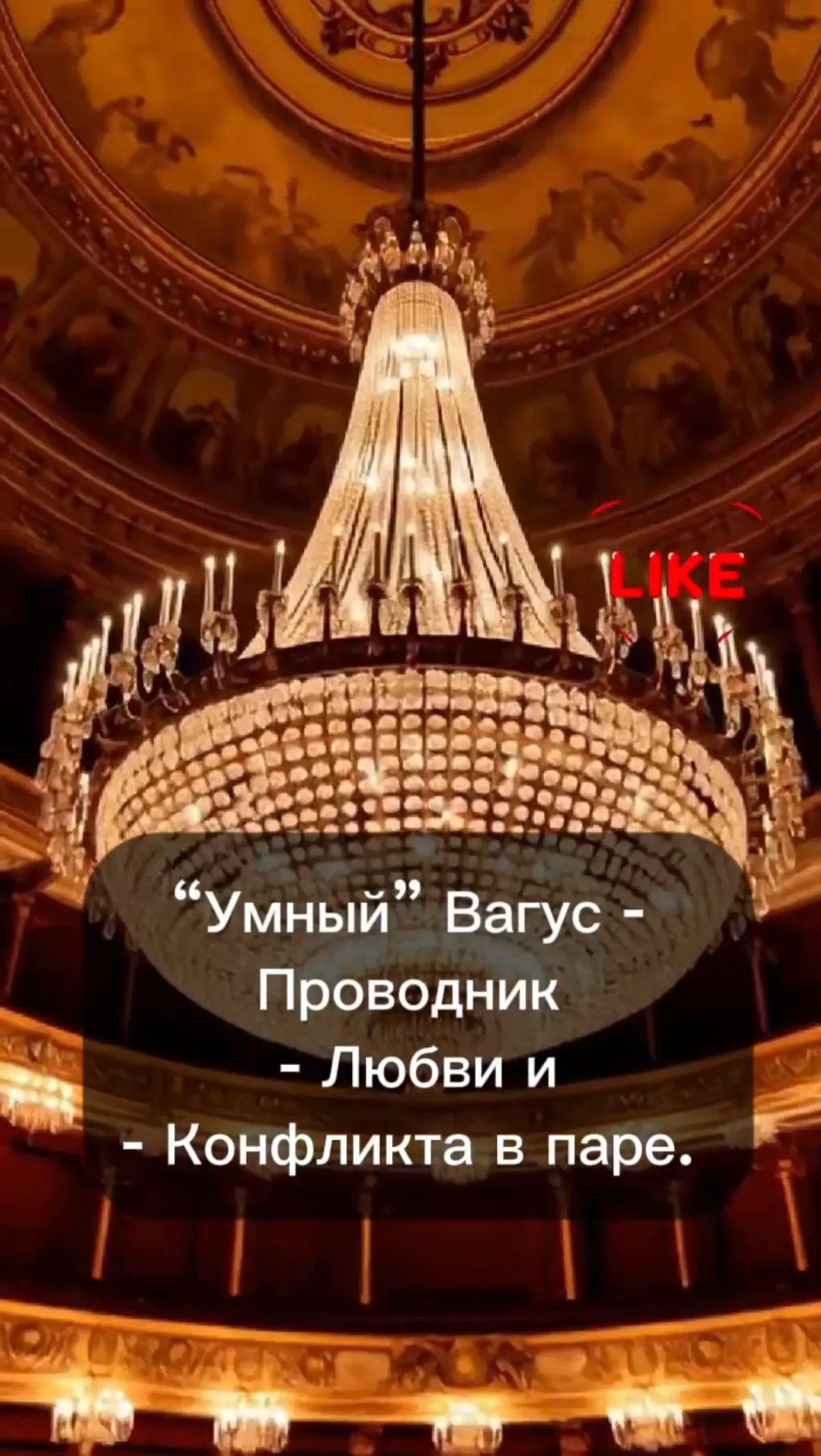 «Умный» Вагус - проводник любви и конфликта в паре. | Сетка — социальная сеть от hh.ru