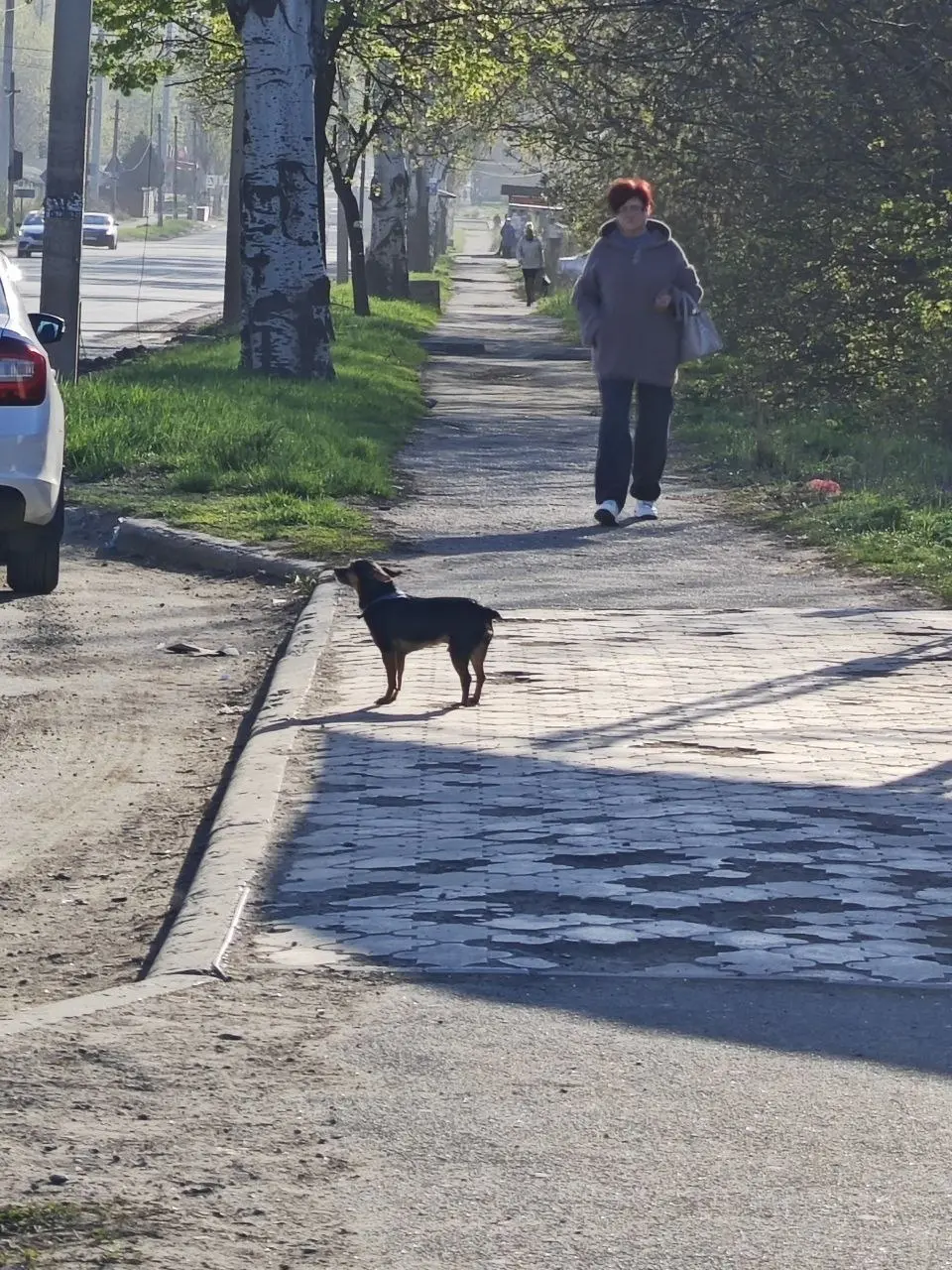 Стоит на остановке, 14-я больница! Ищет хозяина!😭 | Сетка — социальная сеть от hh.ru