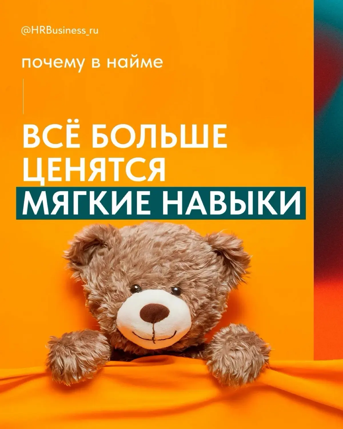 ПОЧЕМУ В НАЙМЕ ВСЁ БОЛЬШЕ ЦЕНЯТСЯ МЯГКИЕ НАВЫКИ | Сетка — социальная сеть от hh.ru