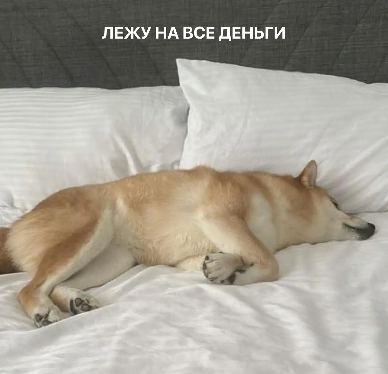 Лежим отдыха "on"
Под спойлерами мы спрятали 6 забавных картинок. Это предсказания или идеи, как провести выходные? Решайте сами!
Делитесь в комментариях, что выпало вам! | Сетка — социальная сеть от hh.ru