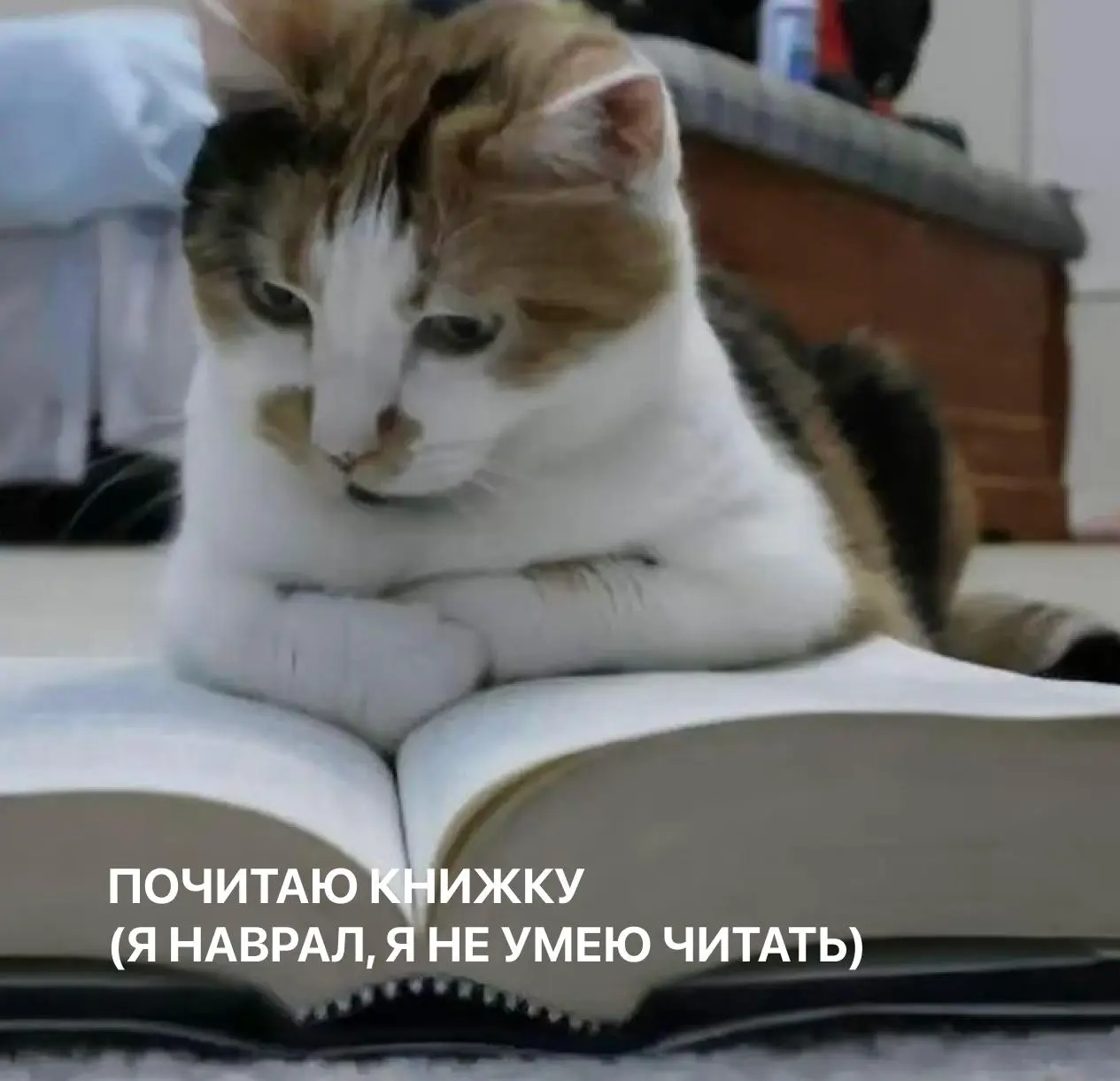 Лежим отдыха "on"
Под спойлерами мы спрятали 6 забавных картинок. Это предсказания или идеи, как провести выходные? Решайте сами!
Делитесь в комментариях, что выпало вам! | Сетка — социальная сеть от hh.ru