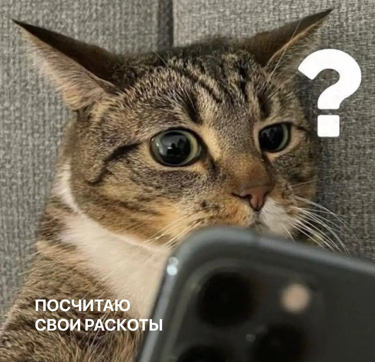 Лежим отдыха "on"
Под спойлерами мы спрятали 6 забавных картинок. Это предсказания или идеи, как провести выходные? Решайте сами!
Делитесь в комментариях, что выпало вам! | Сетка — социальная сеть от hh.ru
