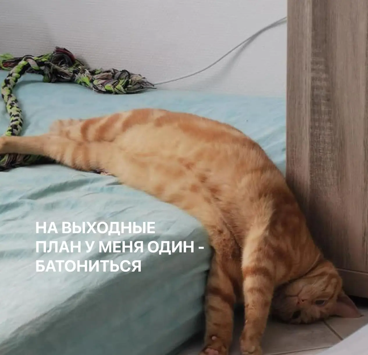 Лежим отдыха "on"
Под спойлерами мы спрятали 6 забавных картинок. Это предсказания или идеи, как провести выходные? Решайте сами!
Делитесь в комментариях, что выпало вам! | Сетка — социальная сеть от hh.ru