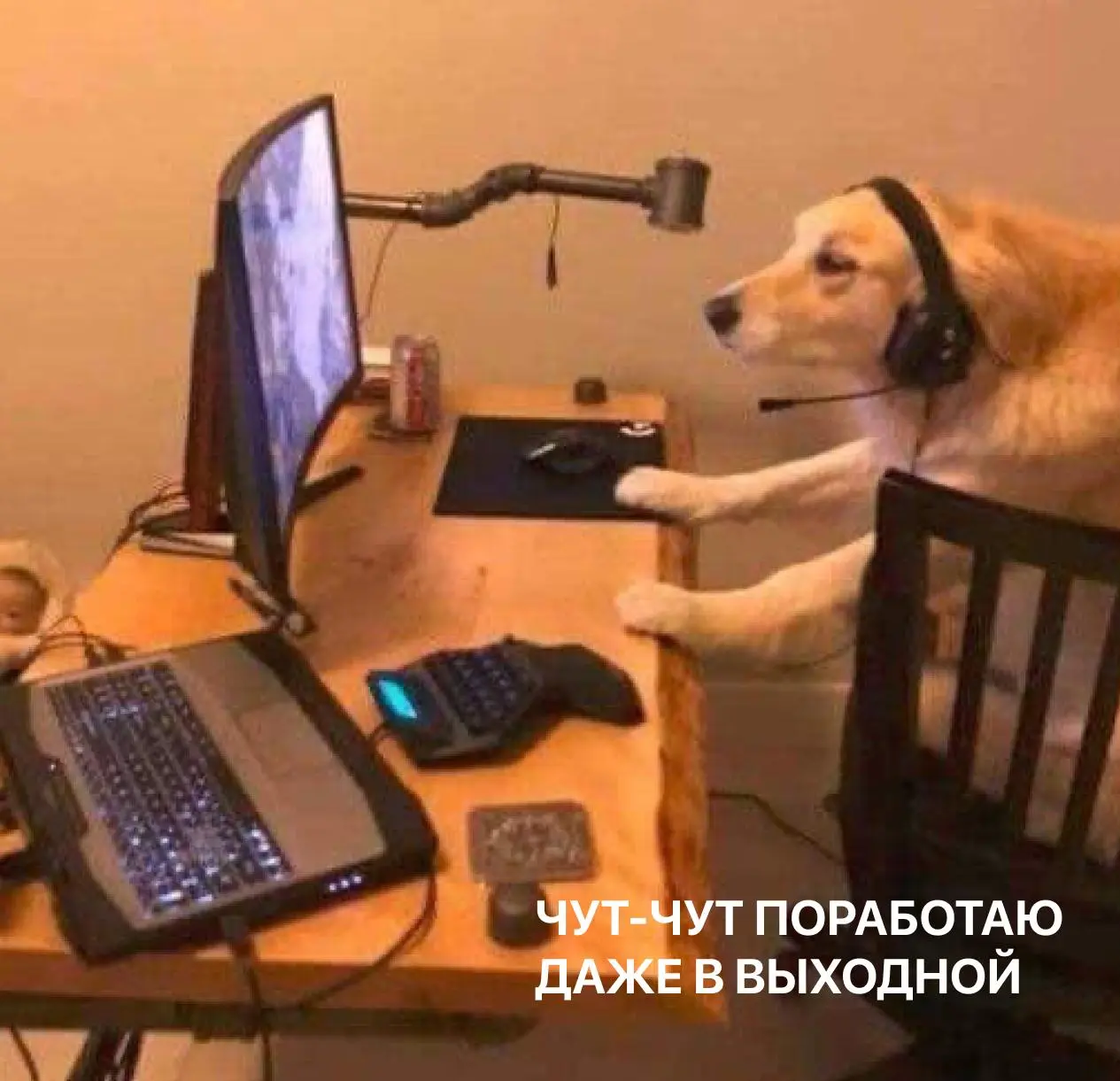 Лежим отдыха "on"
Под спойлерами мы спрятали 6 забавных картинок. Это предсказания или идеи, как провести выходные? Решайте сами!
Делитесь в комментариях, что выпало вам! | Сетка — социальная сеть от hh.ru