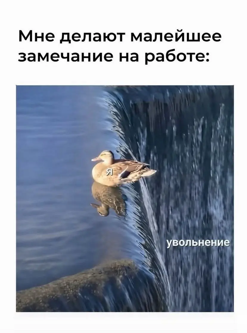 Знакомо? | Сетка — социальная сеть от hh.ru