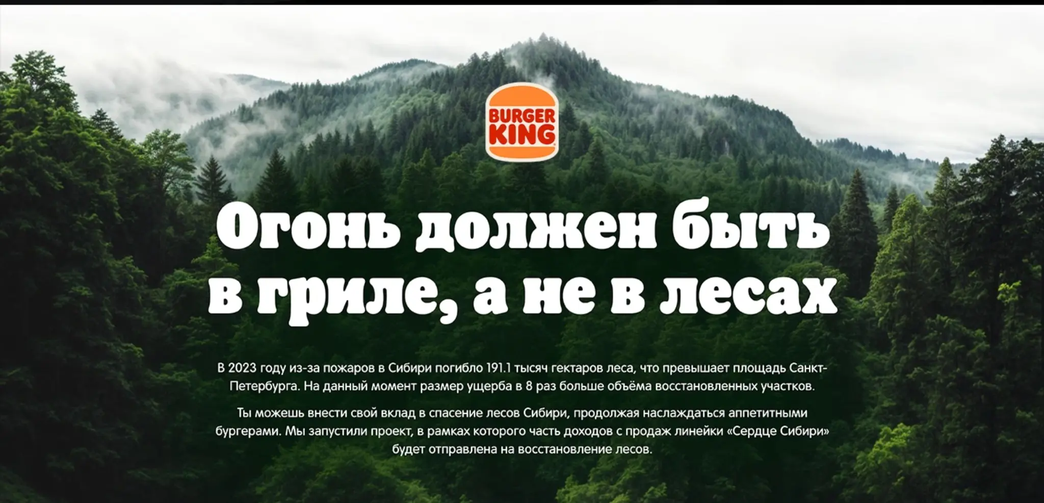 03
М-ВИДЕО
Перегружен первый экран.
После идет видео.
...И кейс закончился.
Хочется рассмотреть кейс, скроля экраны, что бы получить кайф от того, что зашел его посмотреть | Сетка — социальная сеть от hh.ru