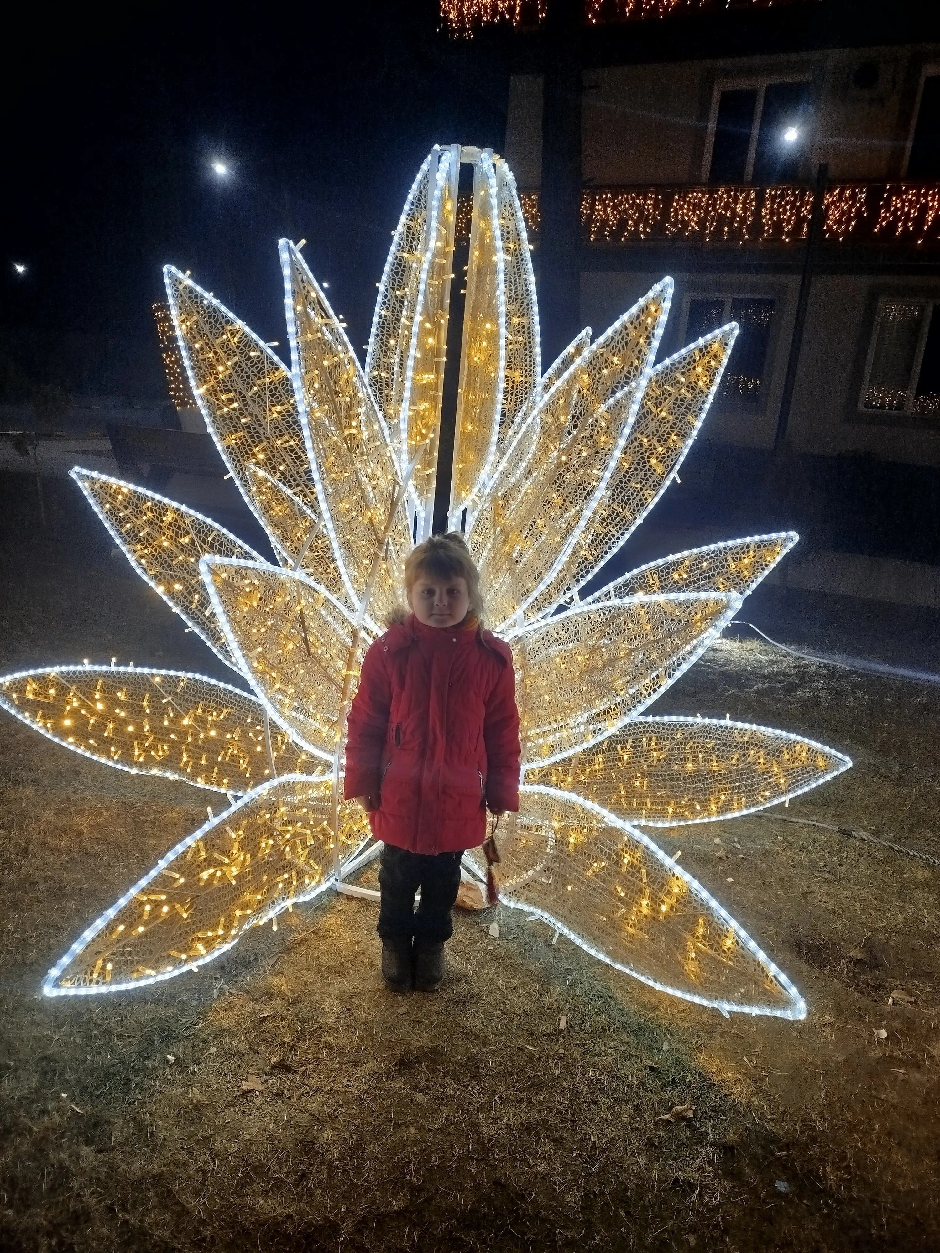 Амалиа Урумова