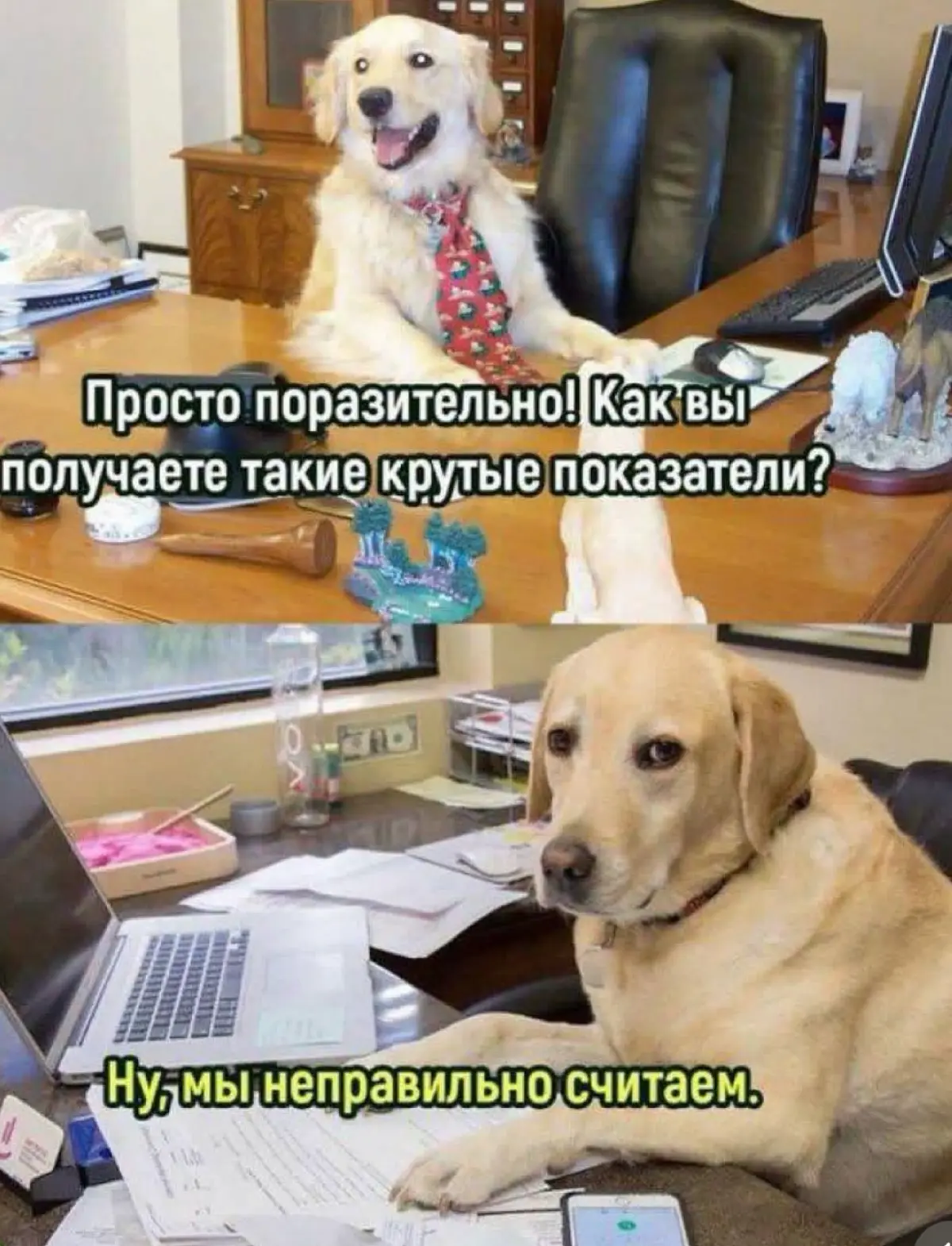 Ловите пятничный мем 🎉 | Сетка — социальная сеть от hh.ru