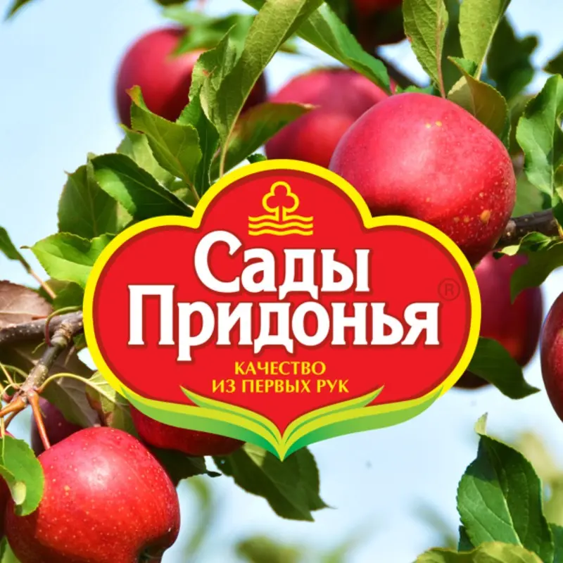 Ирина Князева