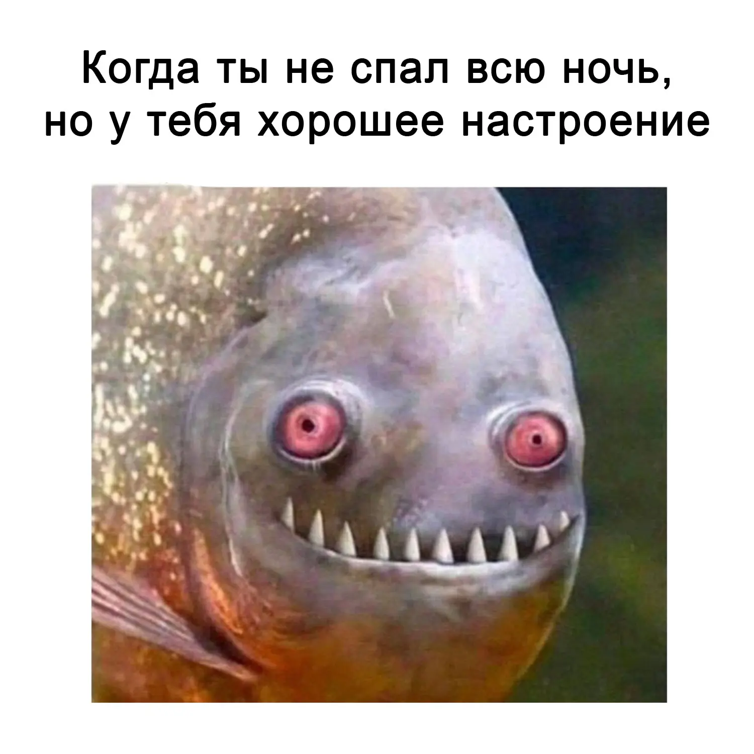 Это называется «нервный срыв»
#Мемы | Сетка — социальная сеть от hh.ru