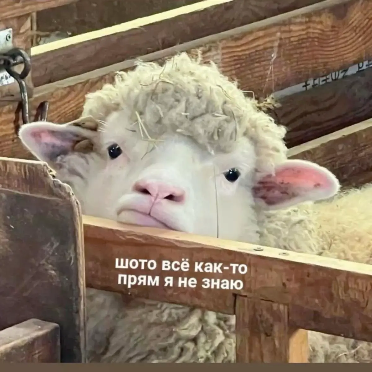 Устала | Сетка — социальная сеть от hh.ru