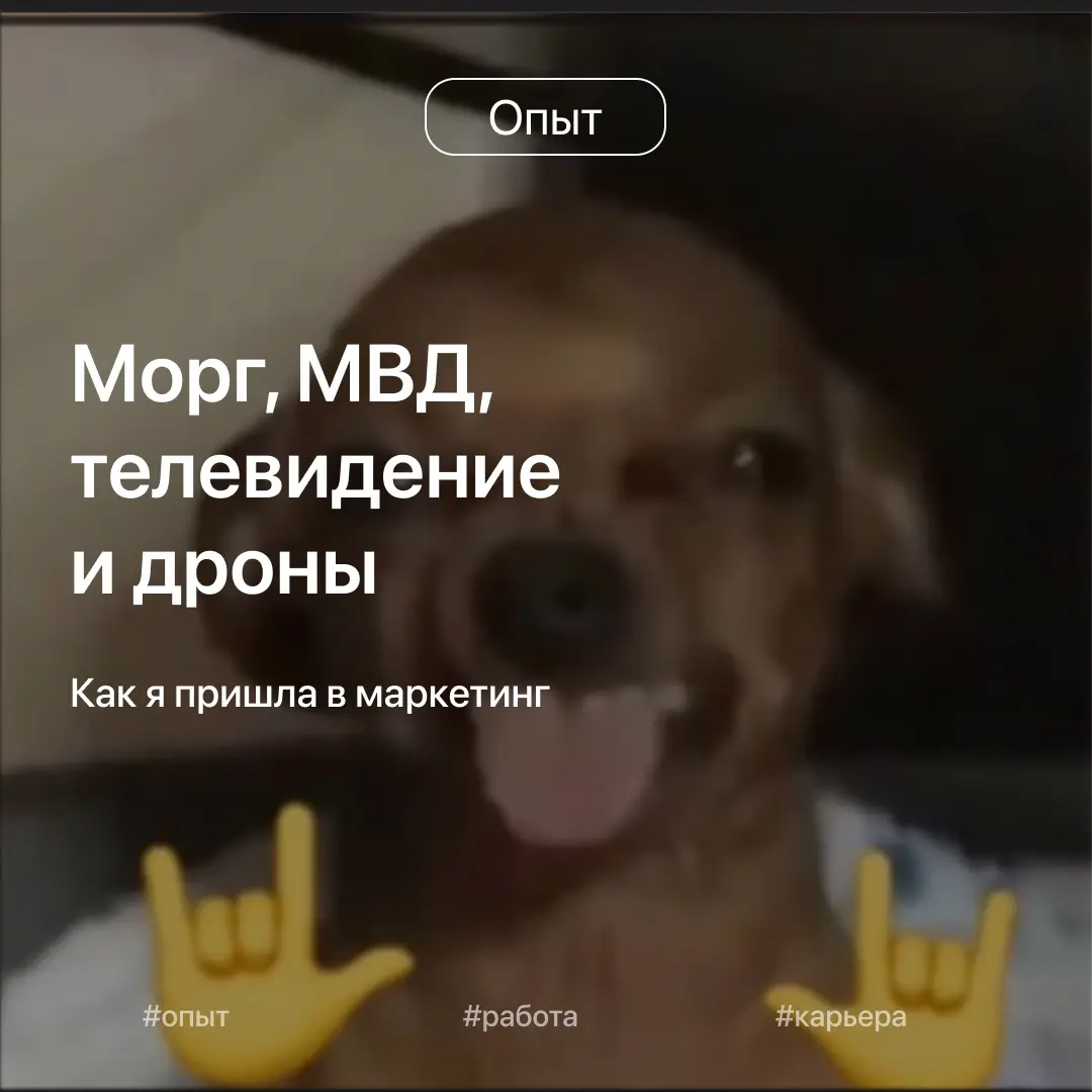 Морг, МВД, телевидение и дроны: как я пришла в маркетинг | Сетка — социальная сеть от hh.ru