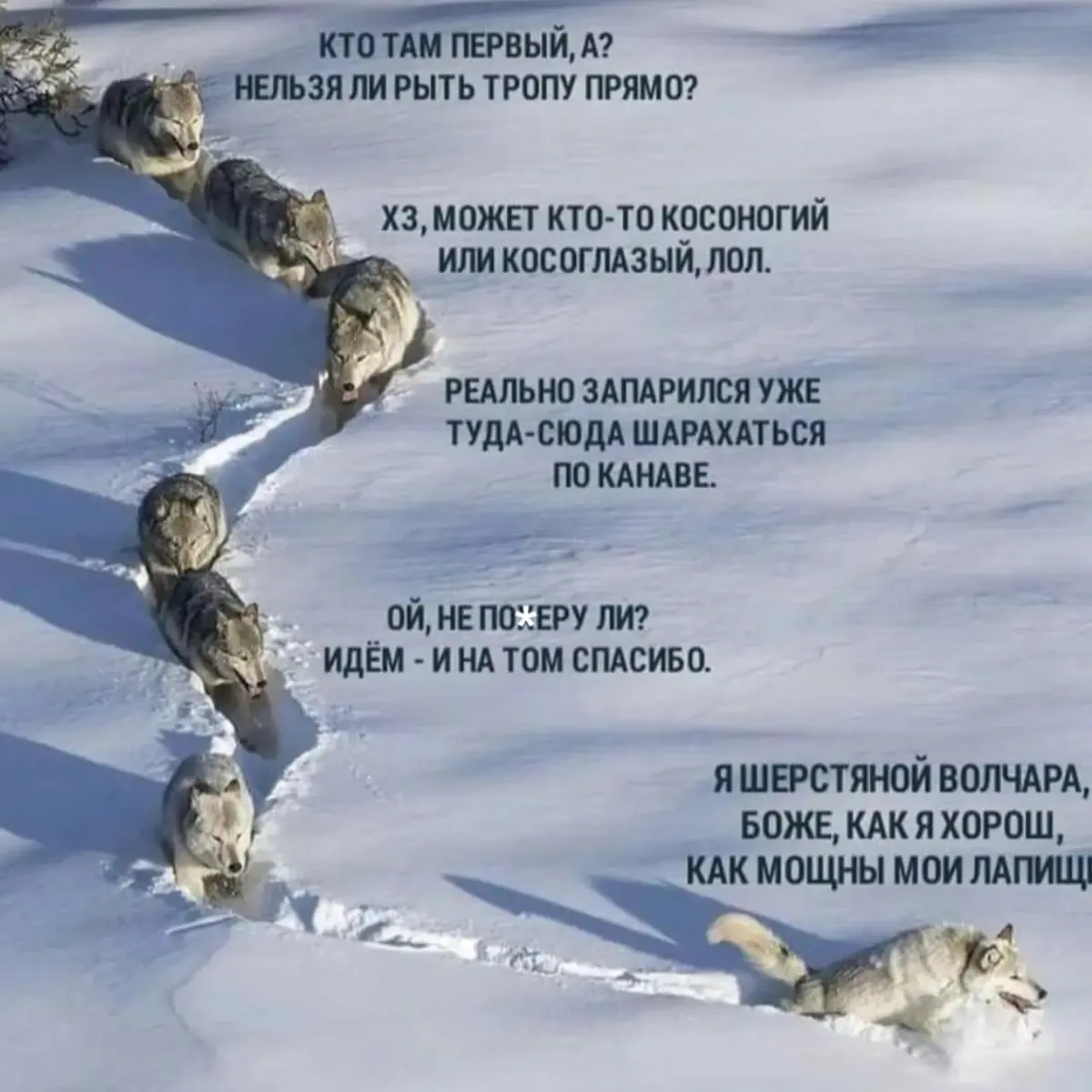 🧠☑️ | Сетка — социальная сеть от hh.ru