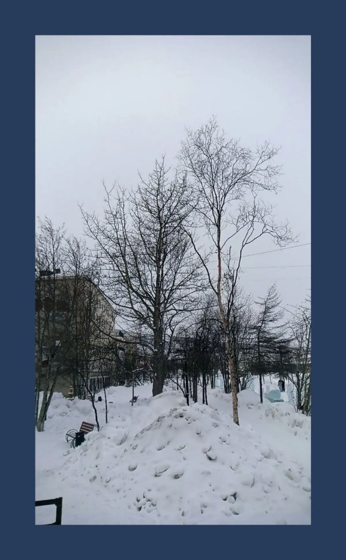 Загадочный Магадан / The Mysterious Magadan | Сетка — социальная сеть от hh.ru
