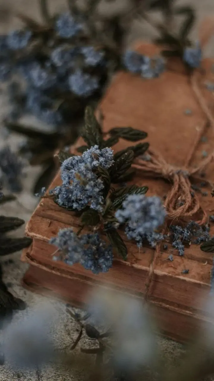 РИТМ ДНЯ | 18 апреля 🌙
Добрейшее утро! Ну что, вчера было новолуние, и сегодня может быть такое чувство как будто ещё не до конца проснулись внутри | Сетка — социальная сеть от hh.ru