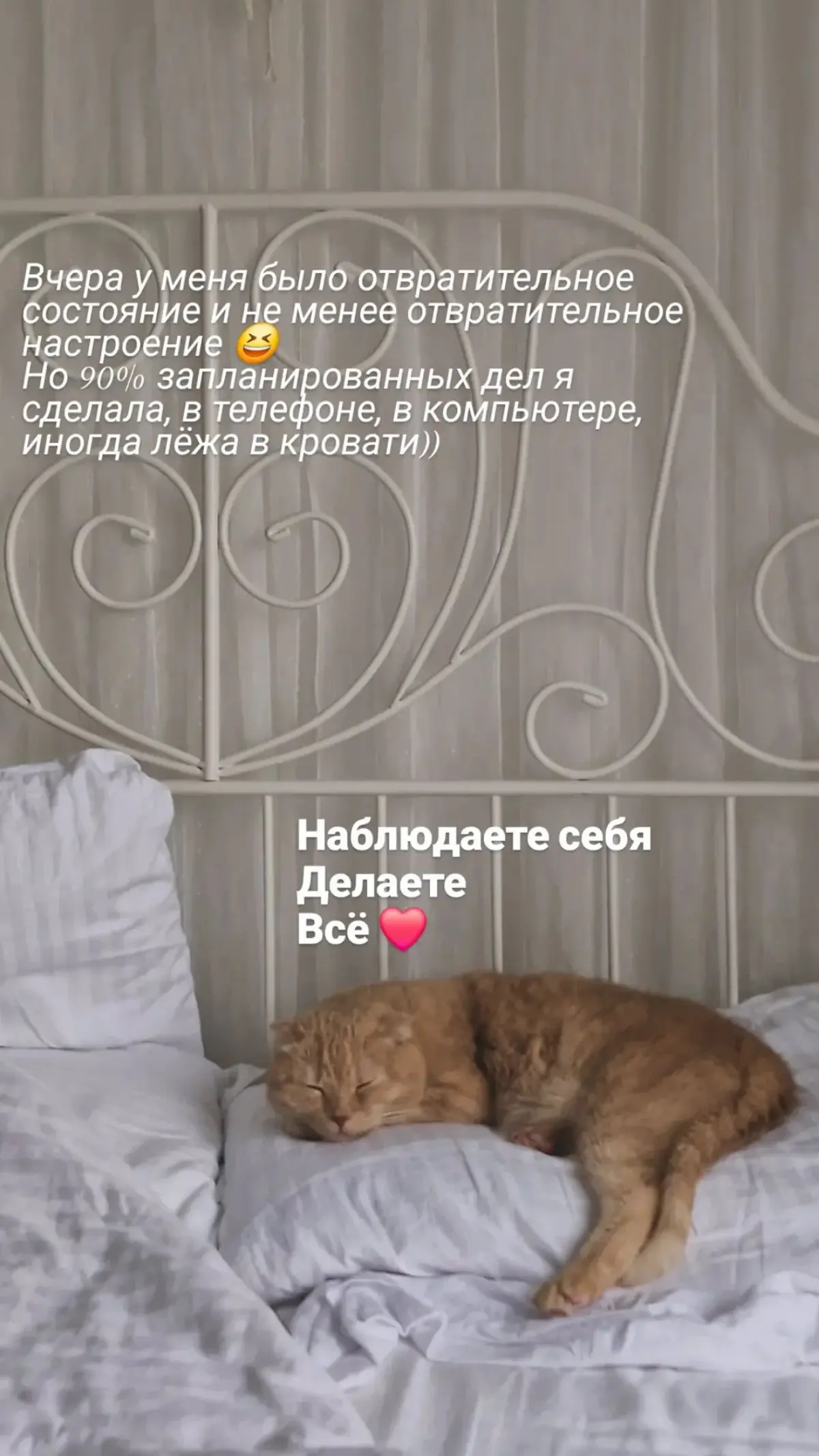 Откаты⬇️ | Сетка — социальная сеть от hh.ru