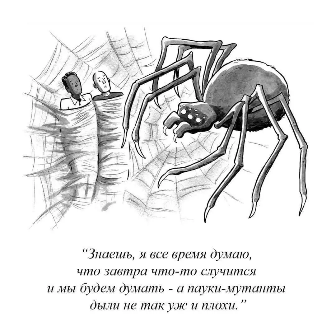 П - перспектива 😂
#Юмор@poldner | Сетка — социальная сеть от hh.ru