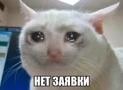 Ваш сайт есть в топе, а заявок нет. 3 причины, почему так бывает ✅
Вы вышли на 1-е место в Google. Поздравляем. А заявок по-прежнему нет. Знакомо?
Ситуация, которую мы видим постоянно | Сетка — социальная сеть от hh.ru