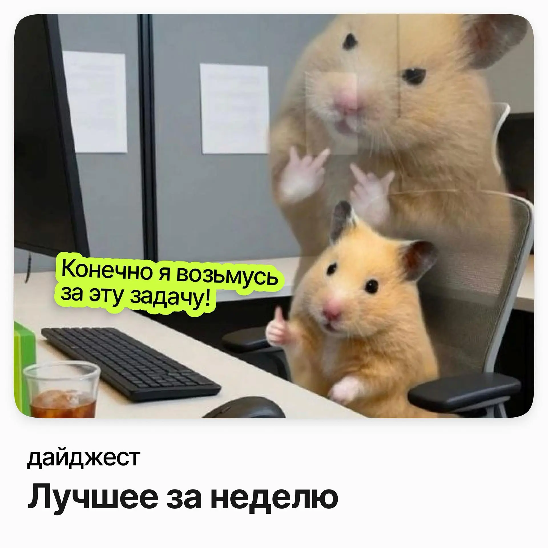 Лучшие вакансии недели | Сетка — социальная сеть от hh.ru