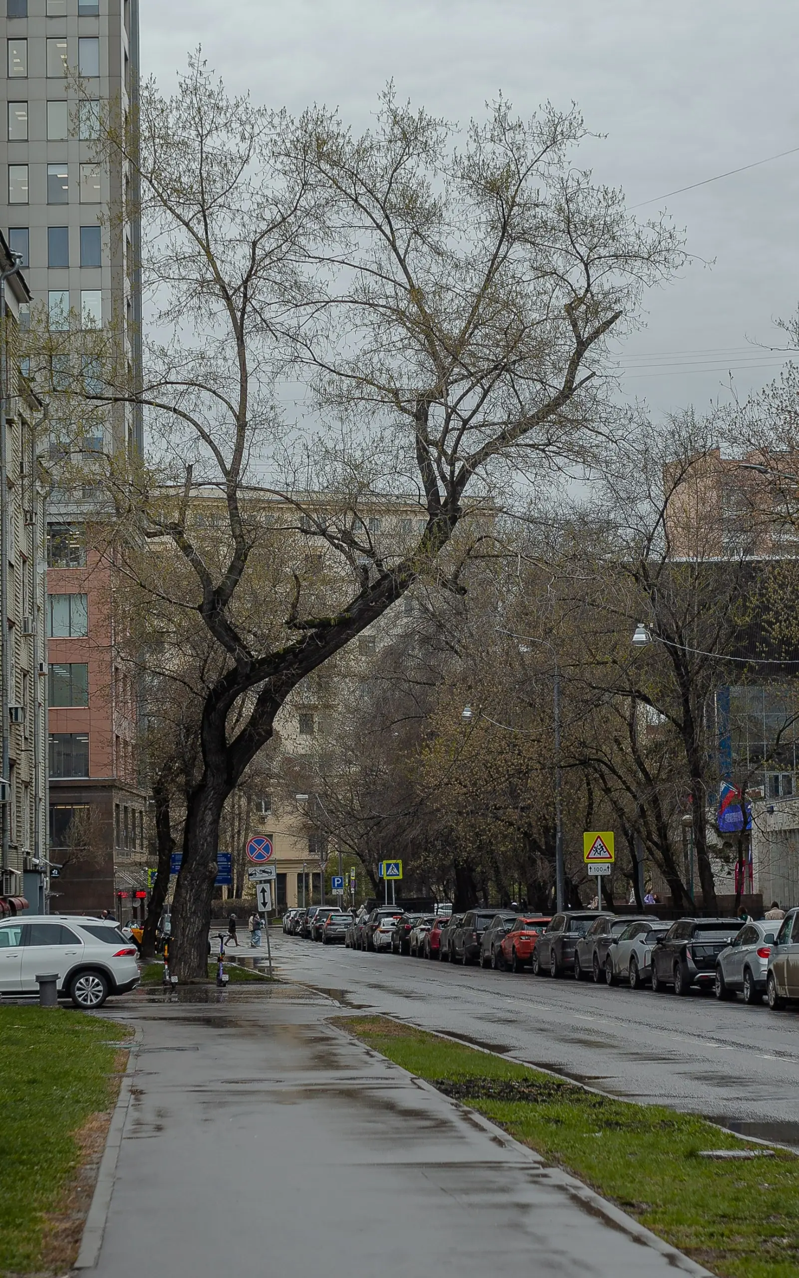 #петровичев #улицапетровичева
ДАВНО НЕ БРАЛ Я В РУКИ БУБЕН.. | Сетка — социальная сеть от hh.ru