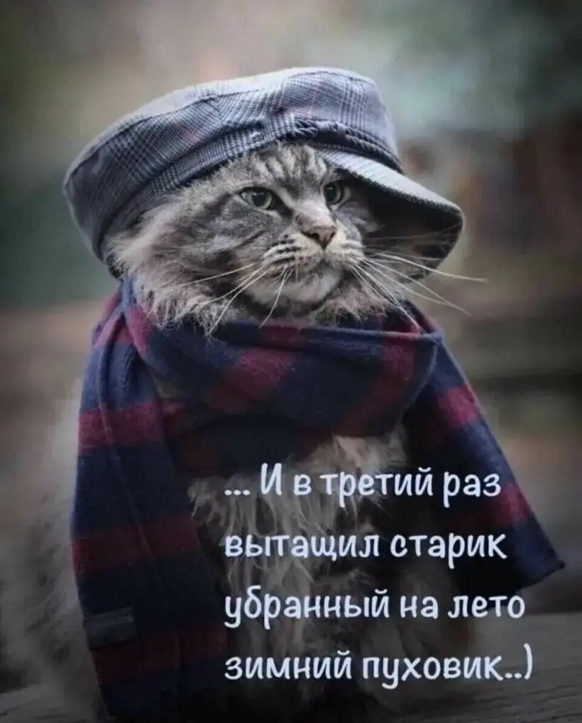 Коротко о погоде на ближайшие дни в Донецке | Сетка — социальная сеть от hh.ru