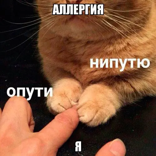 🤧 Аллергики имеют право на удалёнку весной
При обострении сезонной аллергии можно попросить работодателя перевести на дистанционный формат — если это позволяет работа | Сетка — социальная сеть от hh.ru