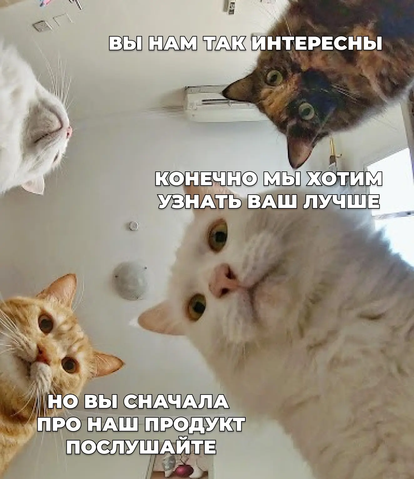 🙃 Закрытые мероприятия — это НЕ когда вы спрятали продажу | Сетка — социальная сеть от hh.ru