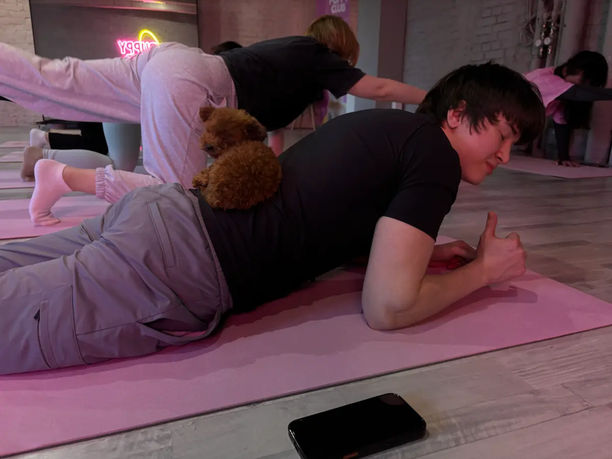 💚Events: Puppy yoga | Сетка — социальная сеть от hh.ru