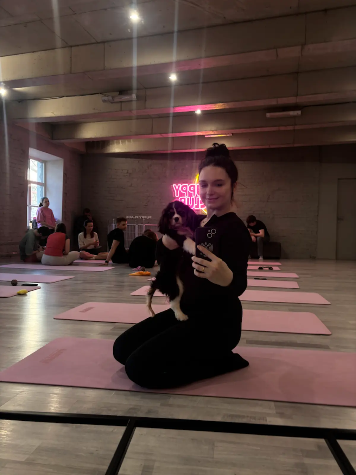 💚Events: Puppy yoga | Сетка — социальная сеть от hh.ru