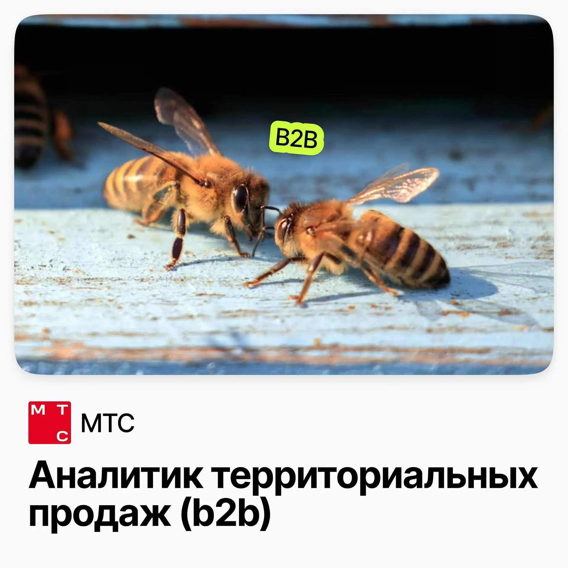 Аналитик территориальных продаж (B2B) / МТС | Сетка — социальная сеть от hh.ru