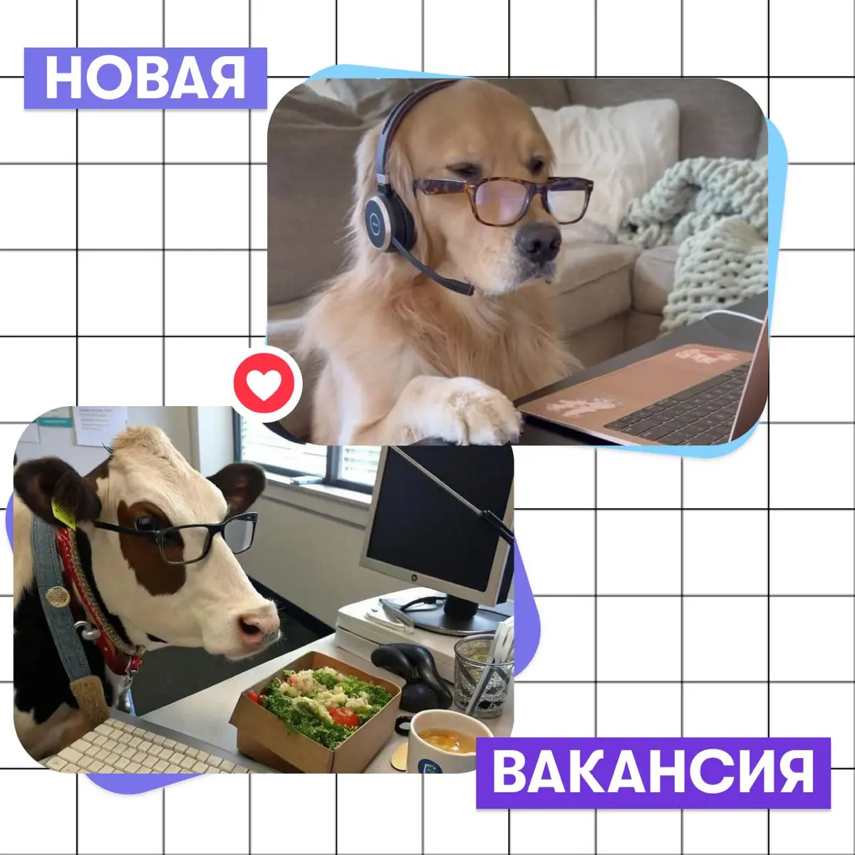 Очередная подборка вакансий в Правительстве Москвы | Сетка — социальная сеть от hh.ru