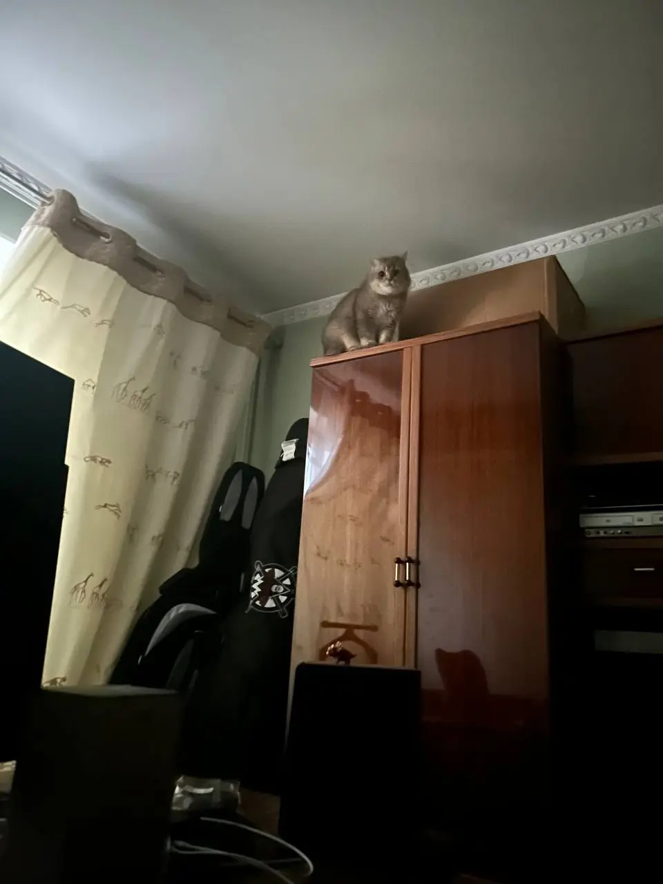 Отчетик последней недели подоспел ❤️‍🔥
1. Прилетели из Стамбоурга, купили кучу таблеток моей бабушке, которых в РФ нет. Вроде как даже отправила первую партию Озоном в ЕКБ, кажется, пока едут | Сетка — социальная сеть от hh.ru