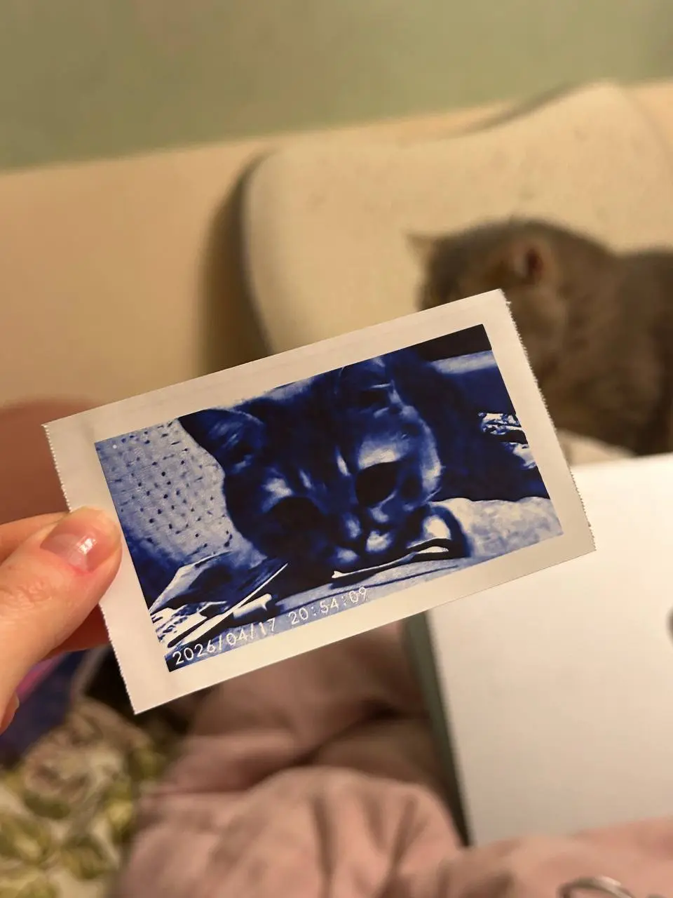 Отчетик последней недели подоспел ❤️‍🔥
1. Прилетели из Стамбоурга, купили кучу таблеток моей бабушке, которых в РФ нет. Вроде как даже отправила первую партию Озоном в ЕКБ, кажется, пока едут | Сетка — социальная сеть от hh.ru