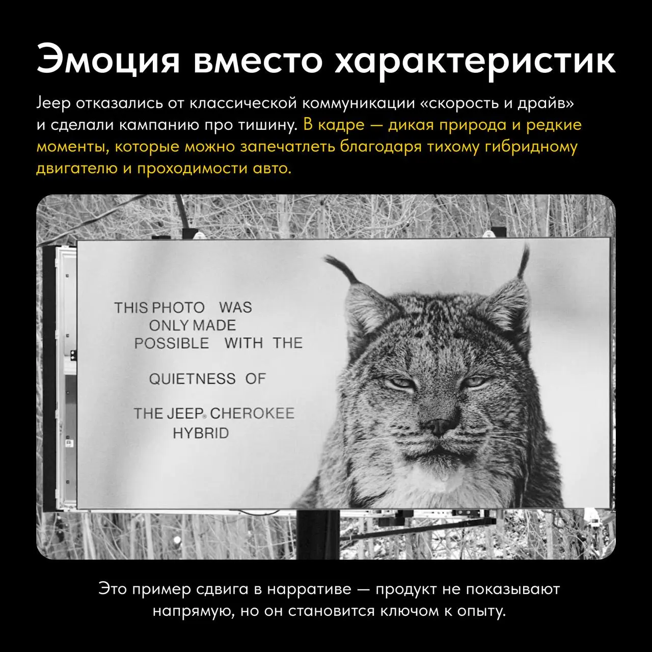 🔎 В воскресенье самое время выдохнуть и перед стартом трудовых будней и поймать свежие идеи
А поможет в этом наша рубрика #кейсыитрендынедели | Сетка — социальная сеть от hh.ru