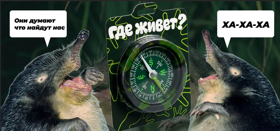 Чуть мерча из заповедника | Сетка — социальная сеть от hh.ru